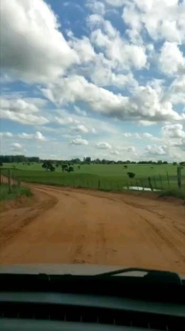 Fazenda Solo Sagrado/ Estrada