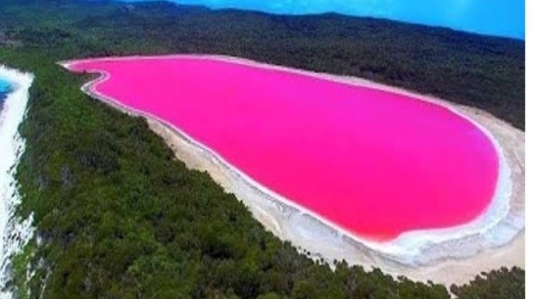 ⁣CONHEÇA O LAGO ROSA E PORQUE VOCÊ NÃO DEVE ENCOSTAR NELE!