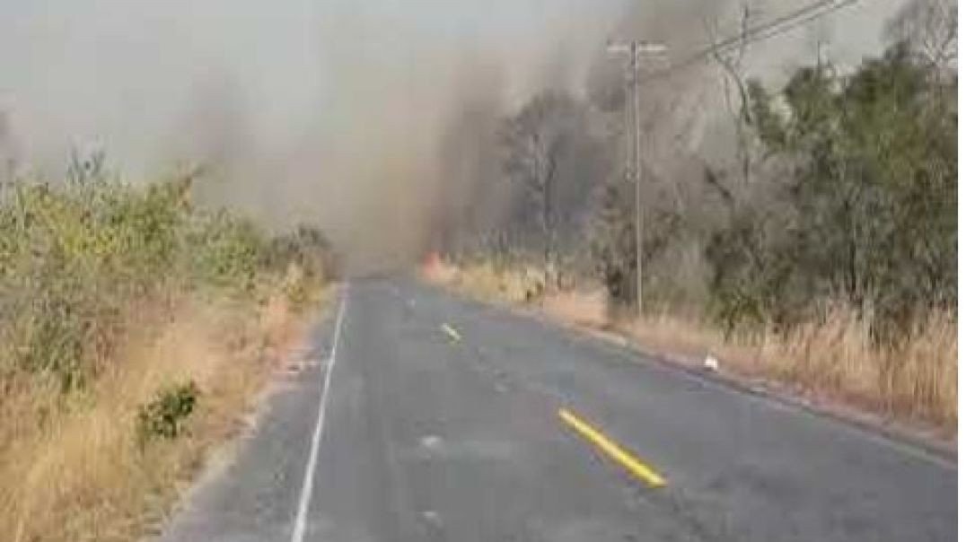 Incêndio-estrada-Pantanal  Mato grosso Do Sul