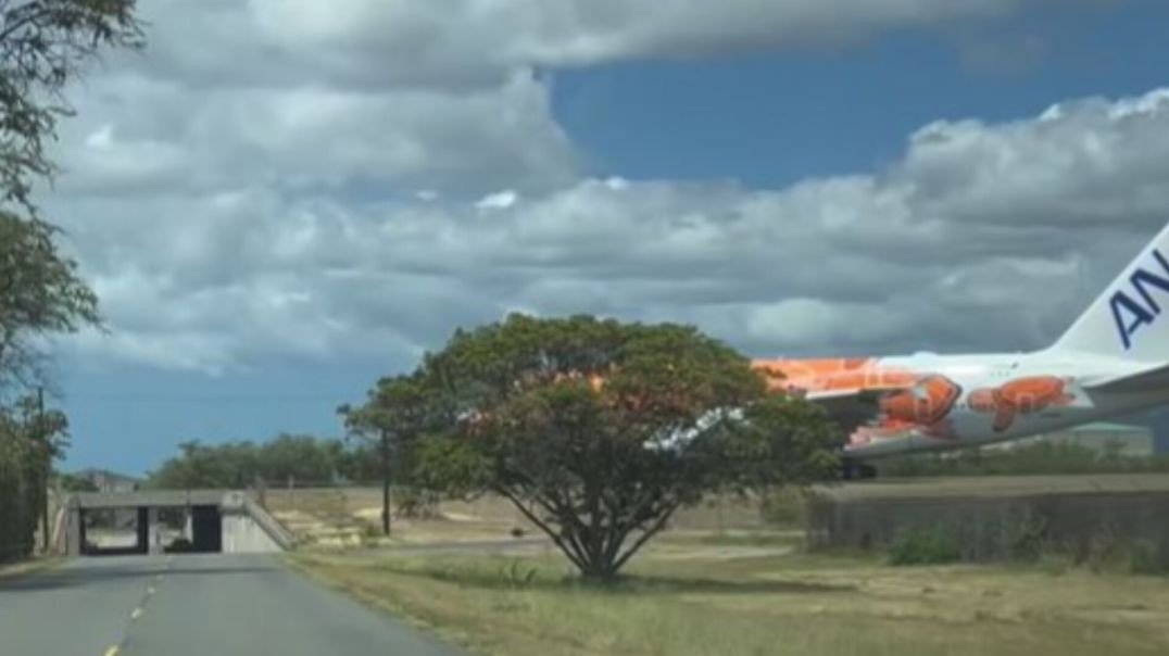 ⁣Avião Na Rua ! Andando como se fosse Carro!