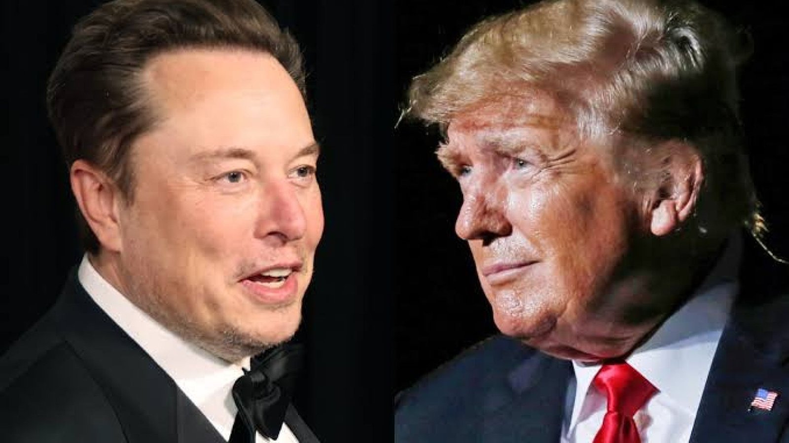 Donald Trump e Elon Musk