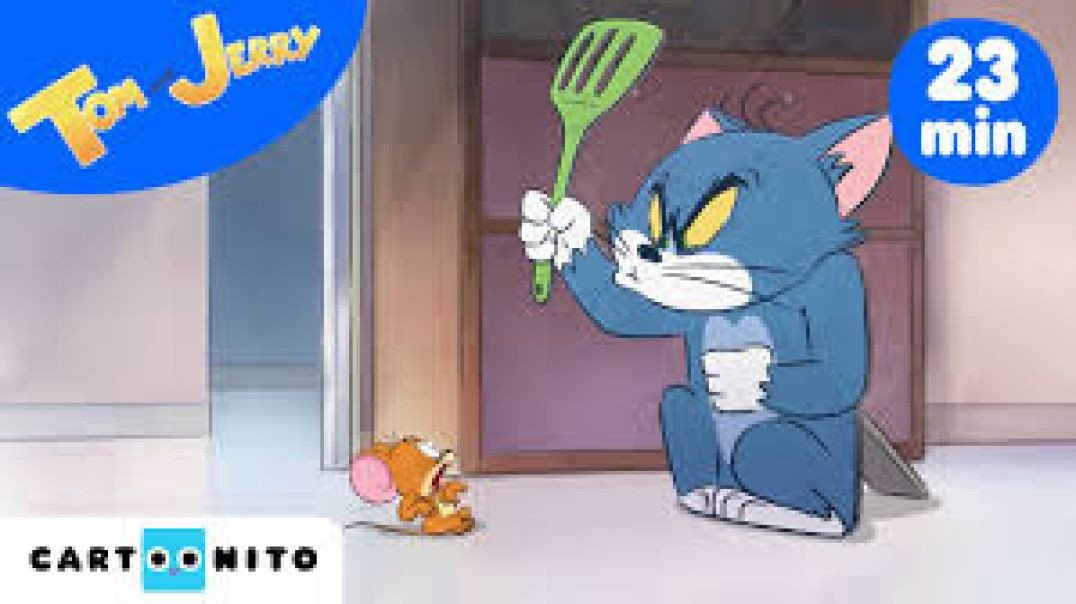 Tom e Jerry | Compilação de caos na vizinhança