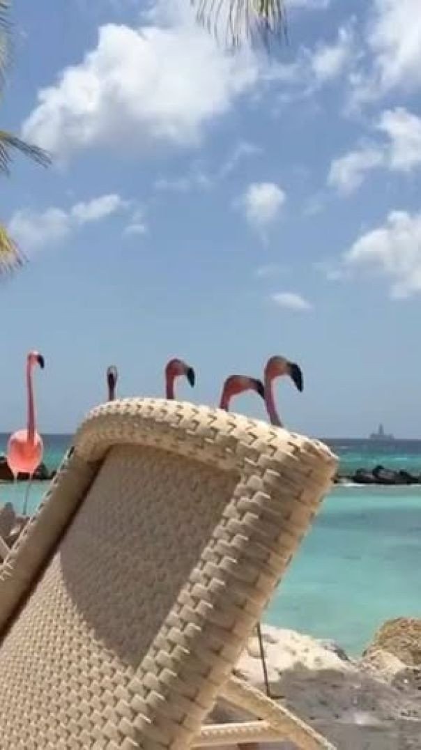 Passeio Na Praia Com Amigas!
