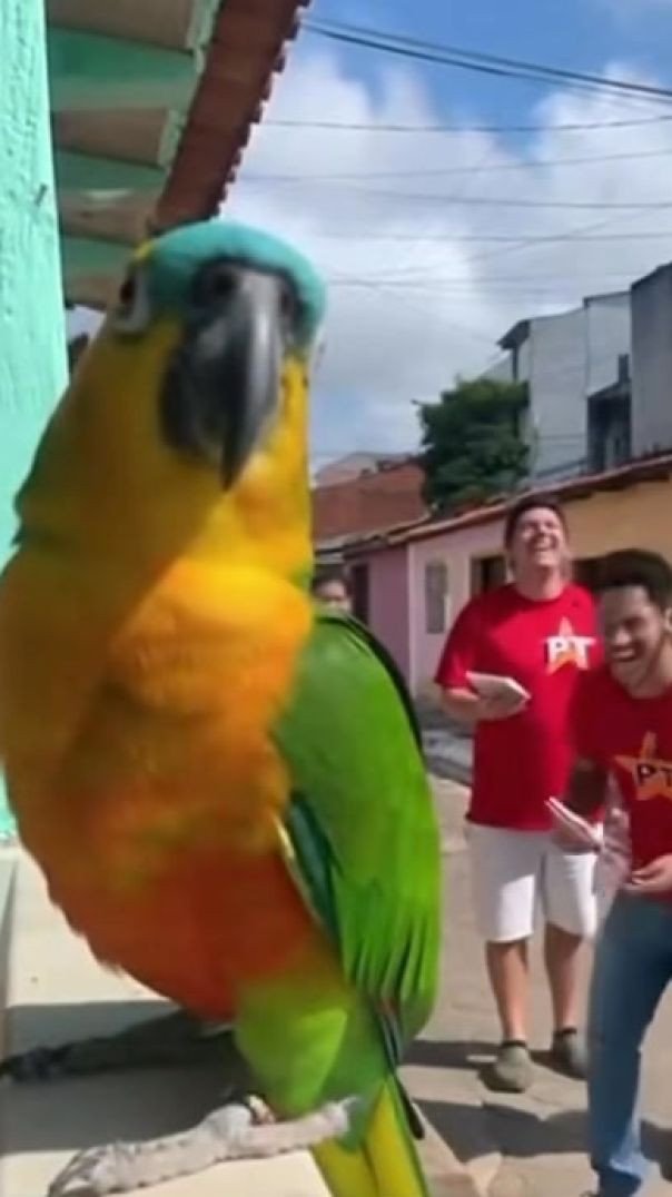 O Pessoal do PT tá Chegando