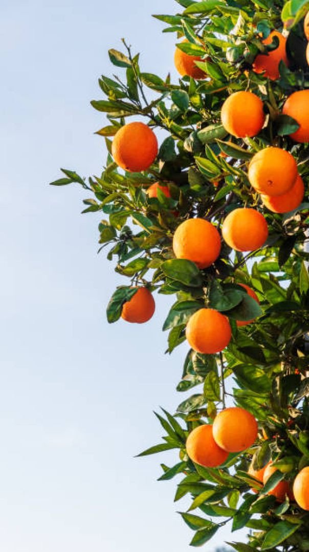 Lugar de tirar o fôlego no mundo. 🌎❤️❤️