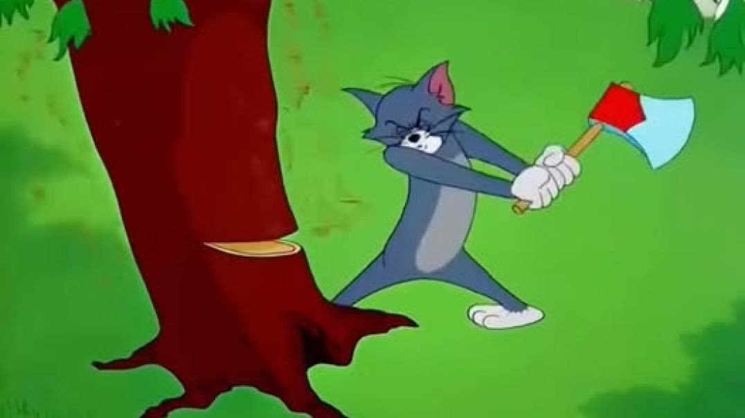 Tom e Jerry