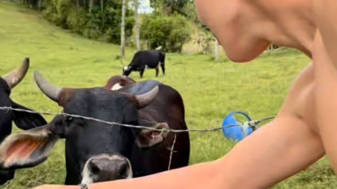 Férias No Sítio ! Final De Ano