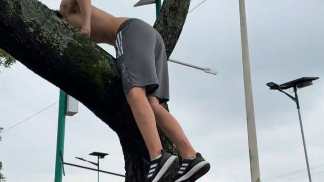 Não importa quantas vezes caias, sempre há que levantar