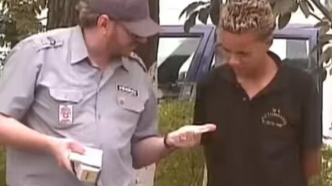 as pegadinhas do Silvio Santos são insuperáveis mlk kkk