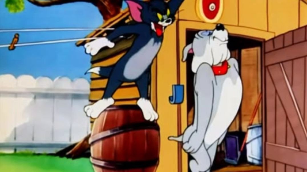 ⁣Vídeo engraçado do Tom e Jerry