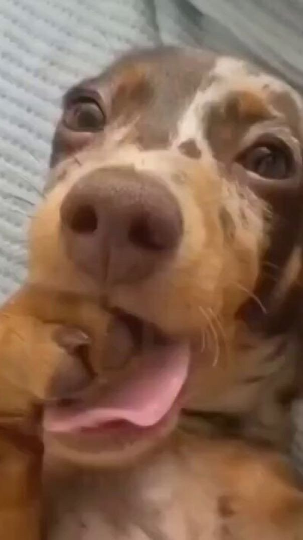 Será que ele tá pensando em mim?