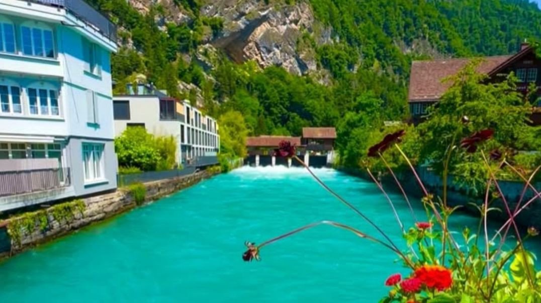 ⁣Flores e o fluxo do rio🌊💐🌼🌺