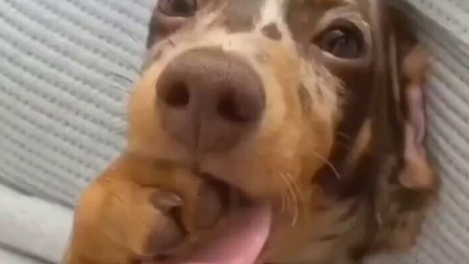 Será que ele tá pensando em mim?