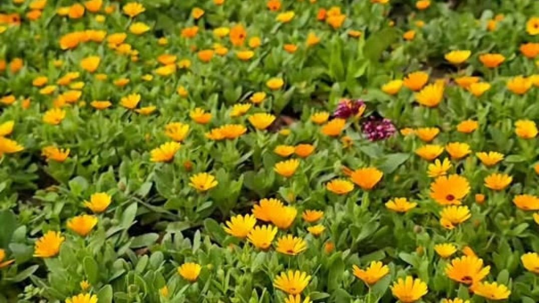 Hora do almoço! Olha Só Alegria