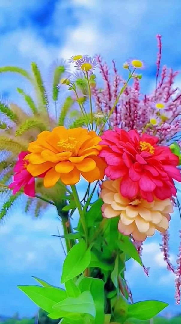 Flores Lindas demais! #flores