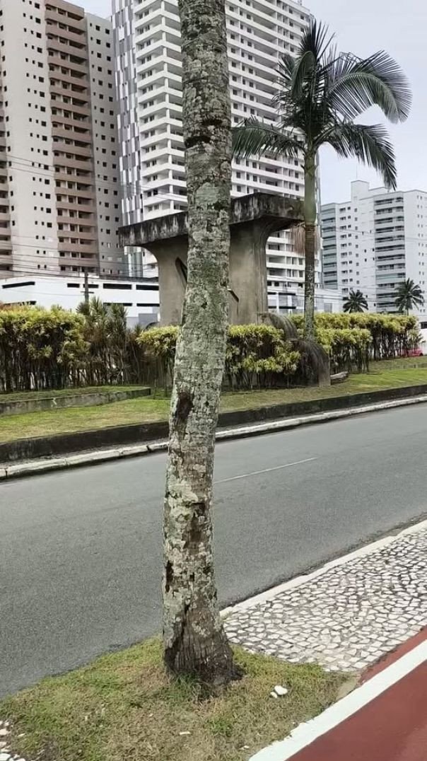 Praia Grande-SP