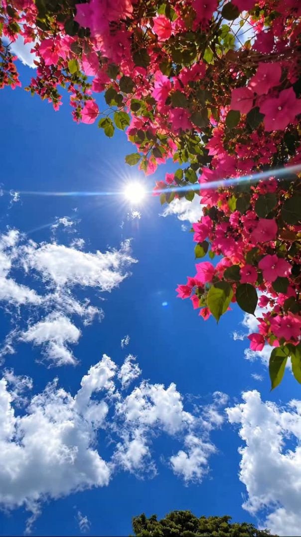 Flores! #vidas